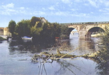 PetitRobinsonX9